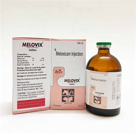 melovix meloxicam